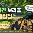 홍천 보리울 캠핑장 솔직후기! 1만원에 즐기는 강변 캠핑