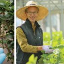 문양호농장 이미지