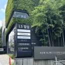 드레스ㅣ마이도터스 웨딩 :: 여름 샘플세일 드레스 구입 후기