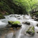 부남버스터미널 이미지