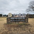 곰이 키우는 목장 | 제주 성이시돌목장 테쉬폰 우유샌드 우유부단 카페 아이스크림