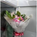 로드로즈