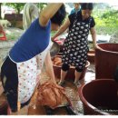 봉양중학교 이미지