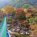 장령산자연휴양림 이미지