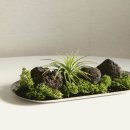 뽑기데이트 이미지