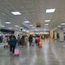 국제의료기상사 이미지