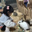 순하농장 네이버블로그