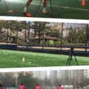 창포 유소년축구장 이미지