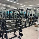 더 보스짐 이미지