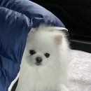 별빛하늘캠프닉
