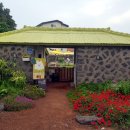 니나노 제주 이미지