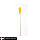 월드타이어 이미지