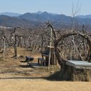 거창 | [경남 거창] 대형카페 투어후기