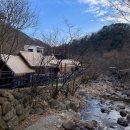 둥지펜션 야영장 이미지