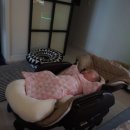 윙민박
