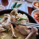 오이삼계탕 이미지