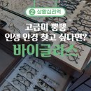 글라스아이안경 자은점 | [성동구/상왕십리]고급스러운 안경샵✨ 상왕십리 바이글라스 후기
