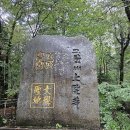오대산 선재길 상원사 ~ 월정사 월정사전나무숲길 촉촉 피톤치드 가득