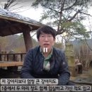 하이스테이 자연 네이버블로그