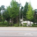 피아노숲 이미지