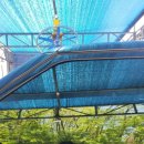 디케이워시 내동점 이미지