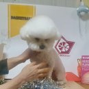 나보다 예쁘개 이미지