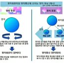 [Quantum] 양자! 이미지