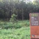 대덕동산 이미지
