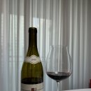 카린(KARINE) | Domaine Serafin - Gevrey Chambertin VV (도멘 세라팡, 쥬브레 샹베르탱) 2020