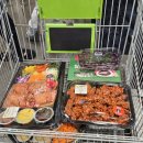 동고정 | [충남/아산] 가족 연말파티 장보기 추천! 트레이더스 천안아산점 쇼핑후기