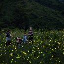 무주반딧불맛집 이미지