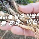 뿅뿅마트