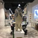 몰리스펫샵 센텀 이미지