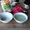 하절기에 한층 수준 높은 후까도로 레시피 이미지