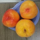 다정순대국 - 고양시 일산서구 산현로 107 | 다정순대국
