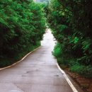 반구정길 이미지