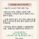 더미미 네이버블로그