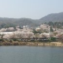 설봉공원 Daum카페