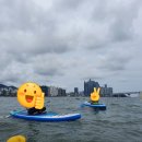 크레이지 서퍼스