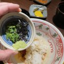 닷찌 이미지
