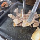 지리산 복돼지 이미지