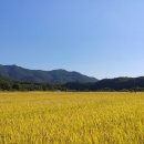 진천전화판매