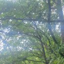 사오랑 | 괴산 산막이옛길 트레킹후기입니다