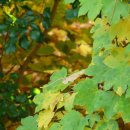 부동산권리분석과 경매 이미지