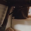 댕댕특별시 이미지