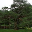 지방도352호 이미지