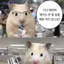 어부돛단배