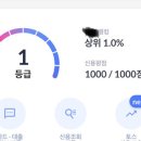 쓸모 없는(있을) 신용등급 1000점 달성(광고 아님) 이미지