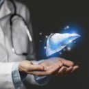 지방간의 진단과 관리 이미지