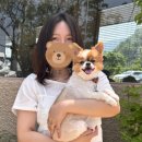 도림하나동물병원 네이버블로그